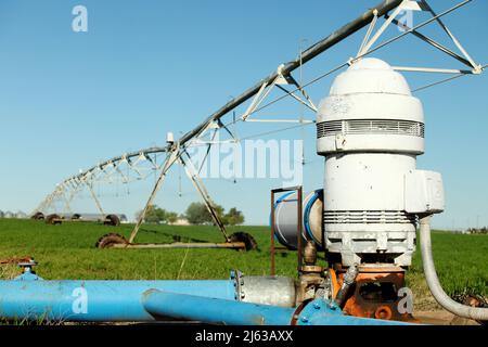 Una pompa di irrigazione agricola in un campo agricolo, utilizzata per consegnare le stoviglie ad un sistema di irrigazione a perno centrale che innaffia un campo di erba medica, Foto Stock