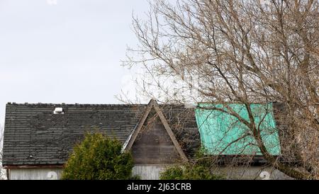 Tetto residenziale in disperato bisogno di riparazione o sostituzione con sbucciature e Tarp Foto Stock