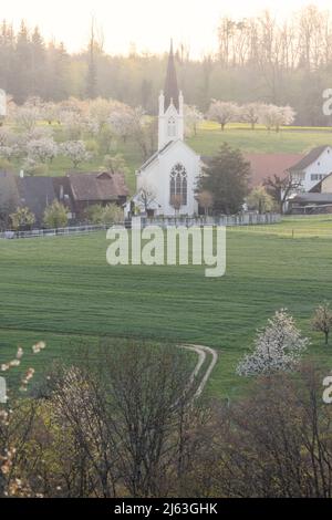 Villaggio di Oltingen con chiesa in primavera a Baselland Foto Stock
