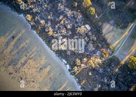 Vista aerea della passerella attraverso i modelli di formazione parco in natura, Australia Occidentale. Foto Stock