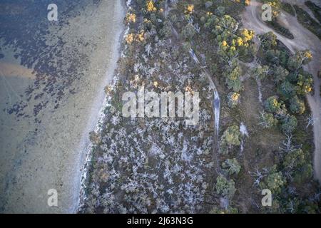 Vista aerea della passerella attraverso i modelli di formazione parco in natura, Australia Occidentale. Foto Stock