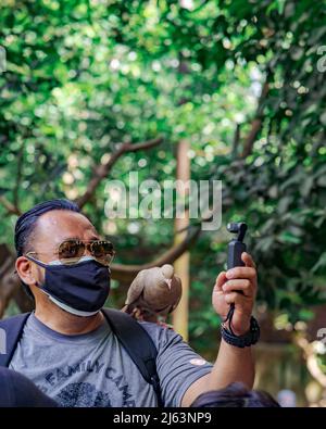 Kuala Lumpur, Malesia - 14 ottobre 2021 : prendere selfie con un piccione. Foto Stock