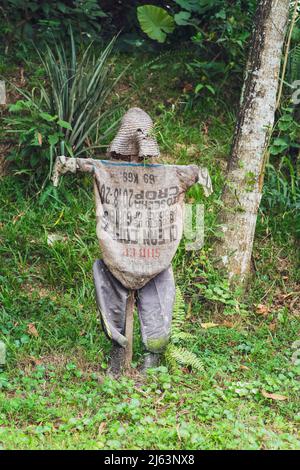 Kuala Lumpur, Malesia - 14 ottobre 2021 : Scarecrow realizzato con materiali riciclati in una fattoria tropicale. Foto Stock