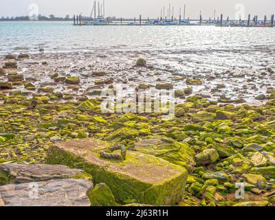 Corda marina in un blocco di cemento nel bacino dell'estuario di Huelva. Foto Stock