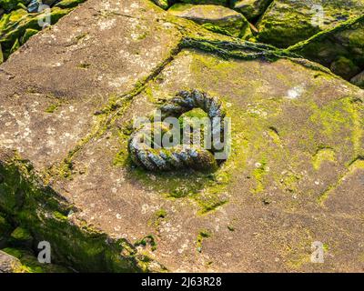 Corda marina in un blocco di cemento nel bacino dell'estuario di Huelva. Foto Stock