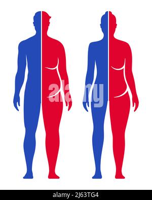 Illustrazione vettoriale concettuale della perdita di peso e del miglioramento del corpo. Confronto tra uomo e donna in forma e forma del corpo grassa. Illustrazione Vettoriale