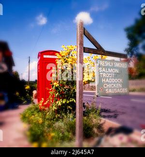 Storico britannico telefono rosso scatola con fiori gialli di fronte e soleggiato cielo blu, con nuvole bianche, sullo sfondo, Kent, Inghilterra Foto Stock