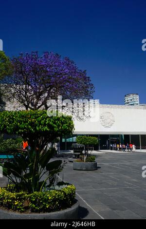 Museo Nazionale di Antropologia, Parco Chapultepec, Città del Messico, Messico Foto Stock