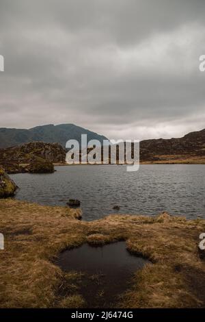 Lago delle Highland simile a uno specchio in un paesaggio roccioso, lungo la passeggiata lungo l'ippodromo di Haystacks, Lake District National Park, Cumbria, Inghilterra, Regno Unito Foto Stock