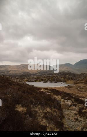 Lago delle Highland simile a uno specchio in un paesaggio roccioso, lungo la passeggiata lungo l'ippodromo di Haystacks, Lake District National Park, Cumbria, Inghilterra, Regno Unito Foto Stock