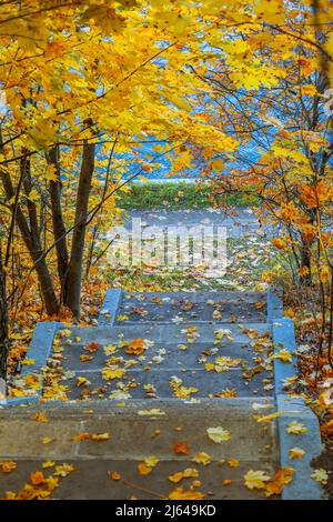 Golden lascia gradini coperti di Park scale, scalinata in pietra dal fiume. Autunno foglia caduta Foto Stock