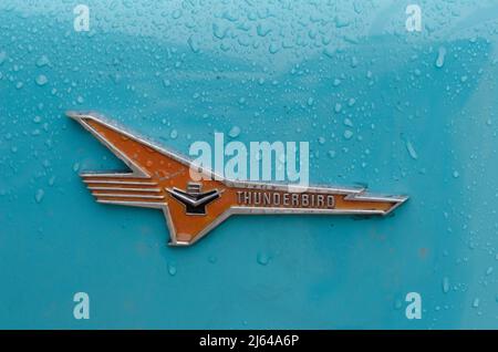 Vintage Thunderbird car embelm Foto Stock