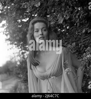 BARBARA SHELLEY, DRACULA: PRINCIPE DELLE TENEBRE, 1966 Foto Stock