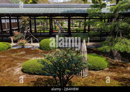 Daikakuji Gosho Corridoio di Village Rain - Daikaku-ji è spesso chiamato SaganGosho a causa della sua connessione con la famiglia imperiale come un clo imperiale Foto Stock