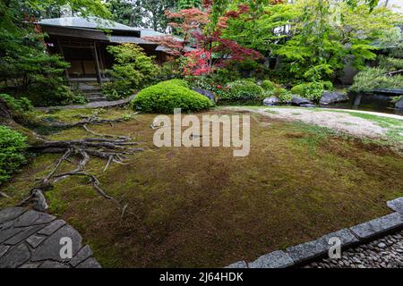 Kyoto Prefectural Guest House Garden - questo piccolo giardino è centrale intorno ad un laghetto carpe con una teahouse che si affaccia su una collina sullo sfondo. Là Foto Stock