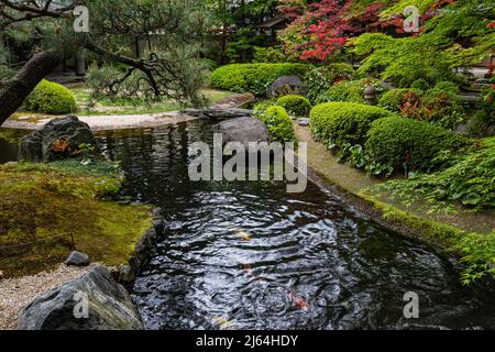 Kyoto Prefectural Guest House Garden - questo piccolo giardino è centrale intorno ad un laghetto carpe con una teahouse che si affaccia su una collina sullo sfondo. Là Foto Stock