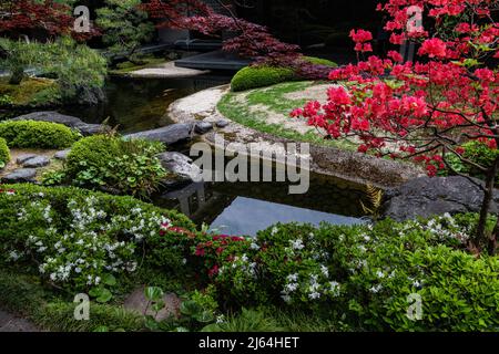 Kyoto Prefectural Guest House Garden - questo piccolo giardino è centrale intorno ad un laghetto carpe con una teahouse che si affaccia su una collina sullo sfondo. Là Foto Stock