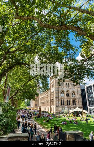 Londra,Inghilterra,UK-Agosto 21 2019:visitatori del famoso museo, pre Covid restrizioni, sedersi sul prato e passeggiare per i giardini, godendo il Foto Stock