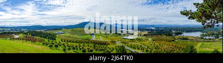 Vista panoramica sull'Arboreto Nazionale di Canberra, con l'iconica torre Telstra sul Monte Nero. Canberra, ACT, Australia Foto Stock