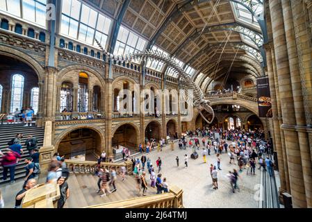 Londra,Inghilterra,UK-Agosto 21 2019: I visitatori, in una sfocatura di movimento, si arrampicano sulla sfarzosa scala all'estremità di Hintz Hall, l'ingresso al bo principale Foto Stock
