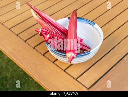 Cialde di okra di arancio di Jing fresco in una ciotola bianca su un tavolo all'aperto in un giardino di New York. Giardinaggio e cibi sani. Loro Foto Stock