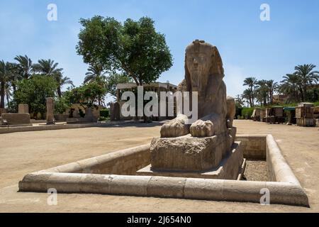 Sfinge alabastro gigante, del peso di oltre 80 tonnellate, che un tempo sorgeva fuori dal tempio massiccio del dio Ptah al Museo all'aperto di Memphis Foto Stock