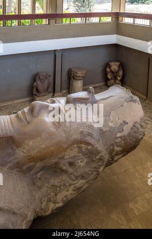 Colosso calcareo del re Ramses II esposto allo storico Museo all'aperto di Memphis, l'antica capitale egiziana Foto Stock