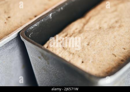 Il processo di preparazione del pane di segale. L'impasto sul pane di segale viene deposto in uno stampo. Fine della lavorazione dell'impasto. Vista frontale. Foto Stock