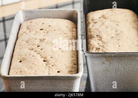 Il processo di preparazione del pane di segale. L'impasto sul pane di segale viene deposto in uno stampo. Fine della lavorazione dell'impasto. Vista frontale. Foto Stock