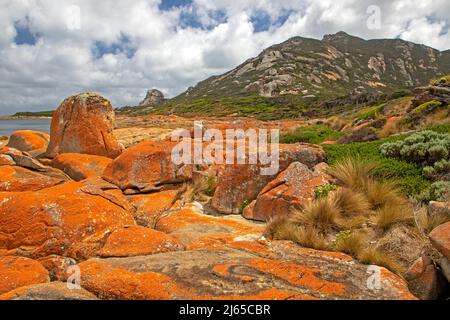 Costa di Killiecranke Bay con il monte Killecrankie che si innalza sopra Foto Stock