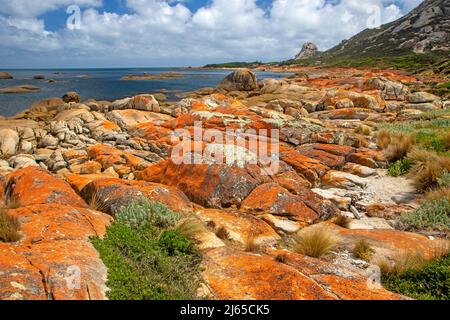 Litorale a Killiecranke Bay Foto Stock