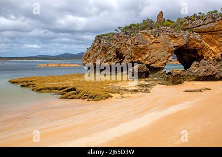 Stackys bight a Killiecrankie Bay, Flinders Island Foto Stock