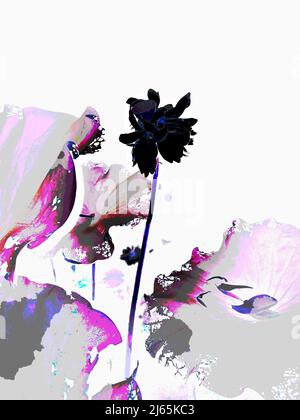 Illustrazione dell'implementazione del computer Foto Stock