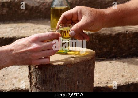 Mans toasting mani con tradizionale serbo bevanda prum brandy rakija slivovitz all'aperto su retro legno di legno in campagna Foto Stock