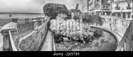 SIRACUSA, ITALIA - 14 AGOSTO 2021: Fontana di Aretusa, iconico punto di riferimento sull'isola di Ortigia nel centro storico della città di Siracusa in Foto Stock