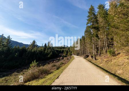 strada di montagna attraverso le colline del Paese Basco Foto Stock