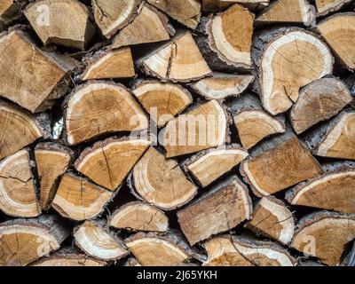 Primo piano di legna da ardere di quercia tagliata e impilata Foto Stock