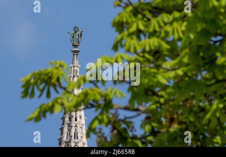 Monaco di Baviera, Germania. 28th Apr 2022. Il Münchner Kindl in cima ad una torre del municipio sorge sopra il verde fresco di un castagno nel cielo blu. Credit: Peter Kneffel/dpa/Alamy Live News Foto Stock