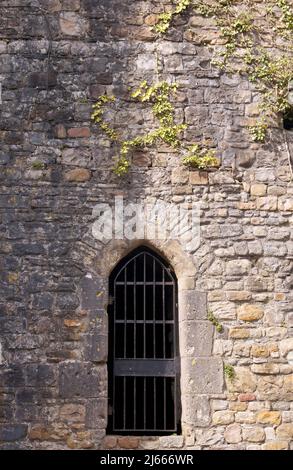 Rovine del vecchio Palazzo dei Vescovi, Llandaff, Cardiff, Galles, Regno Unito Foto Stock