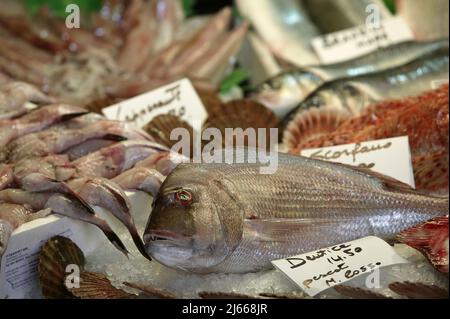 Sea ​​bream al mercato del pesce di Venezia Foto Stock