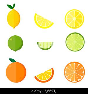 Collezione di agrumi - arancio, limone, lime isolato su sfondo bianco. Set vettoriale di frutta e fette intere. Vettore Illustrazione Vettoriale
