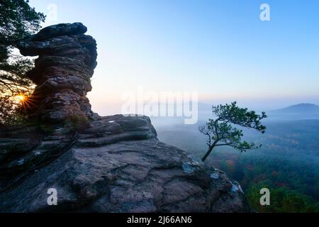 Pfaelzer Wald, Sonnenaufgang, Nebel, Roetzenfels, Pfalz, Renania-Palatinato, Germania Foto Stock