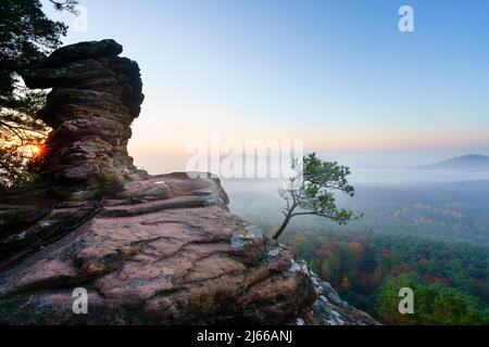 Pfaelzer Wald, Sonnenaufgang, Nebel, Roetzenfels, Pfalz, Renania-Palatinato, Germania Foto Stock