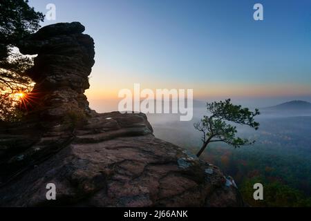 Pfaelzer Wald, Sonnenaufgang, Nebel, Roetzenfels, Pfalz, Renania-Palatinato, Germania Foto Stock