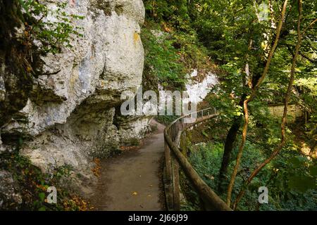 Wanderweg im Fuerstlichen Park Inzigkofen, Baeume, historischer Landschaftsgarten, Fels, Felsformationen, Erholung, Natur, Spaziergang, Wandern Foto Stock