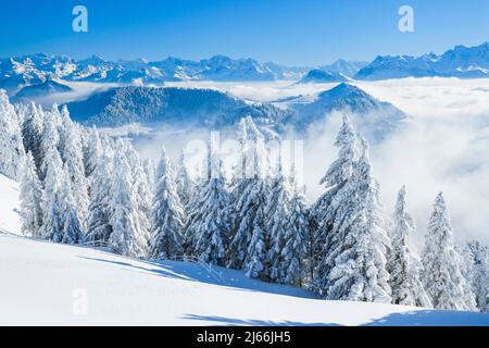 Aussicht von der Rigi, Schweiz Foto Stock