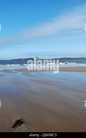 Immagine in stile ritratto del castello di Dunstanburgh in lontananza sulla cresta della soglia di Whin e sulla scogliera vista dalla spiaggia aperta vicino a Embleton Foto Stock