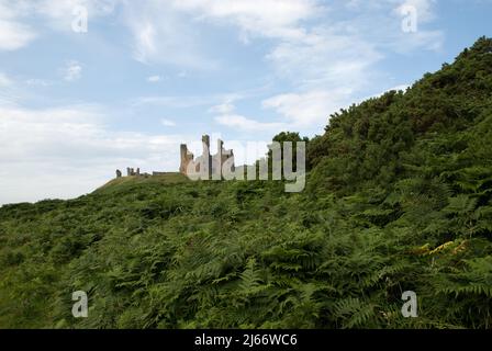 Immagine di paesaggio che mostra parti del castello di Dunstanburgh da una distanza e sotto una riva coperta di felce sul lato di terra della costa Foto Stock