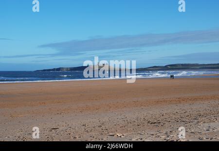 Un'ampia spiaggia aperta e quasi vuota con due persone lontane che camminano lungo la costa e il castello di Dunstanburgh sul suo crinale come sfondo distante Foto Stock