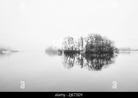 Un isolotto sul lago Windermere guardando verso nord... Foto Stock